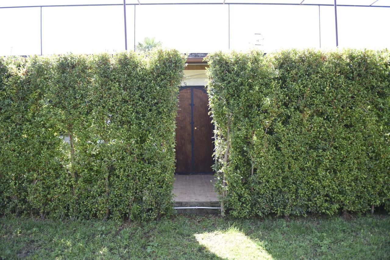 Villa Amelie Fondachello (Mascali) Exterior foto